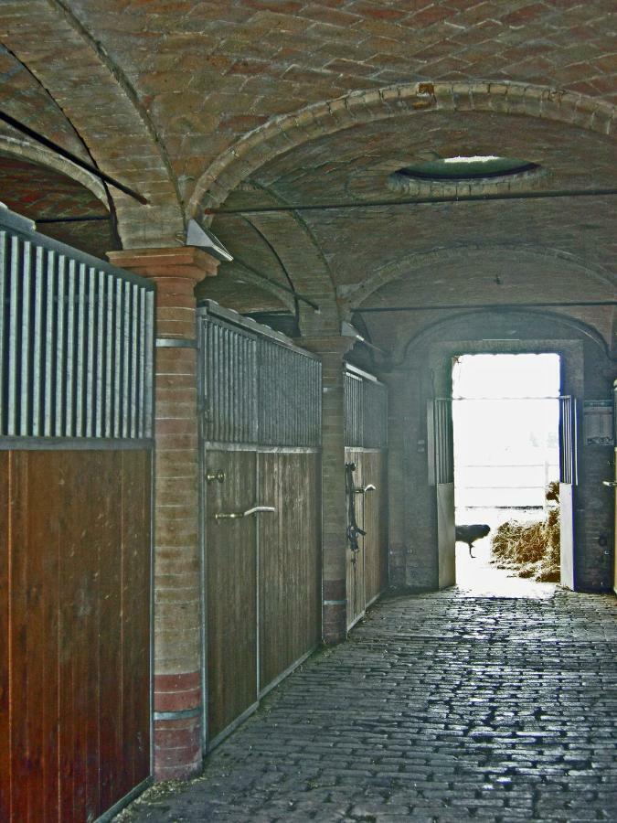 Agriturismo Corte Ghiara Otel Fontanellato Dış mekan fotoğraf