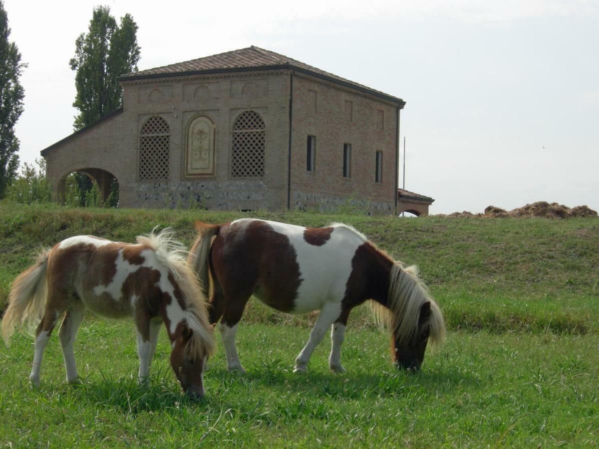 Agriturismo Corte Ghiara Otel Fontanellato Dış mekan fotoğraf